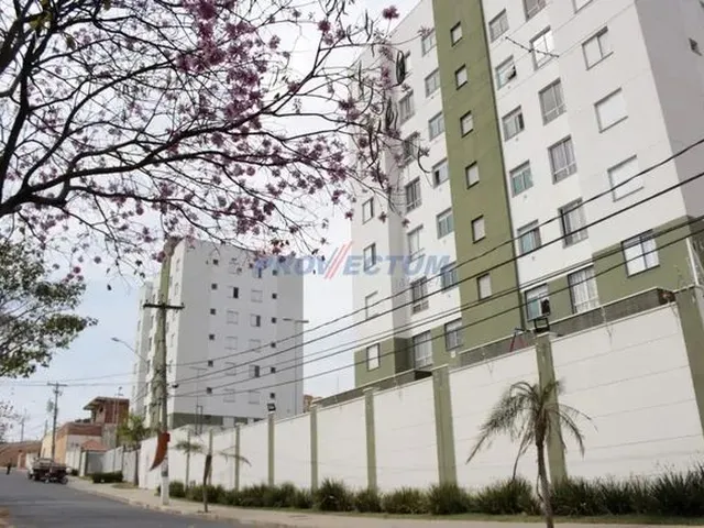 Imagem: Apartamento - Cidade Satélite Íris - Campinas