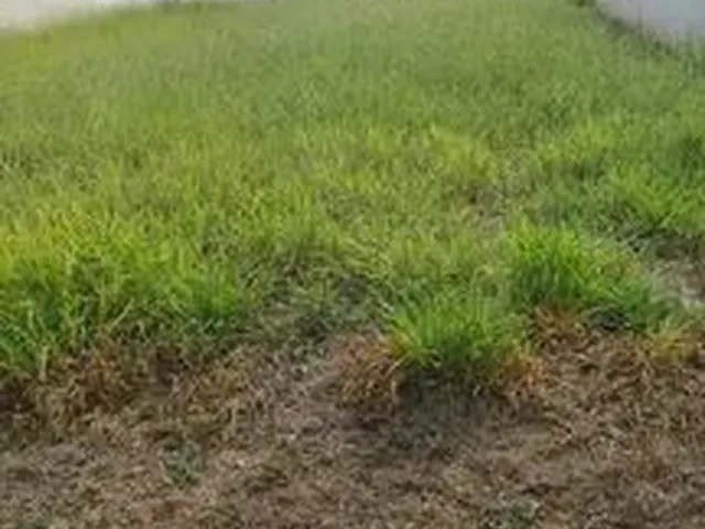 Imagem: Terreno Condomínio em Bauru