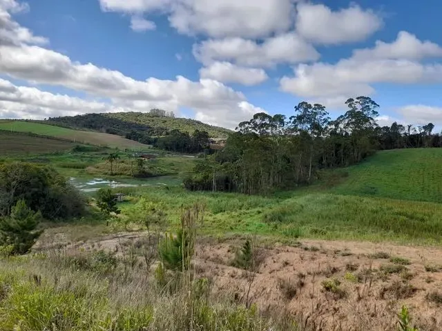 Imagem: Terreno dos Sonhos em Cotia