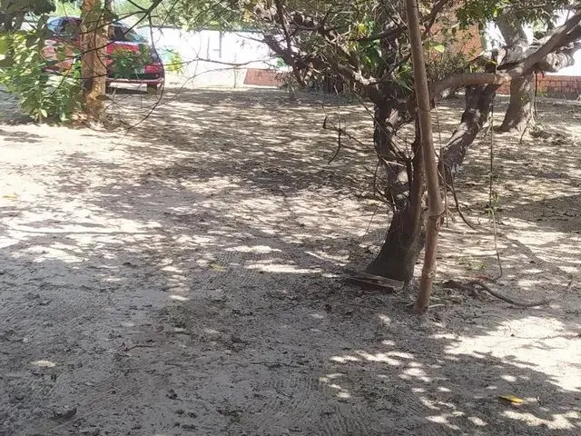 Imagem: Sítio na santa Barbara