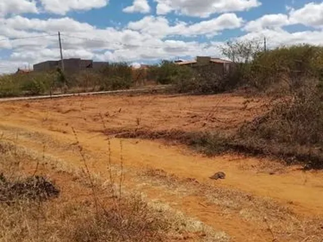 Imagem: Terreno À Venda em Picos-Pi (250,00M²)