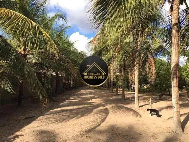 Imagem 4: Casa À Venda no Bairro Centro - Macaíba/Rn