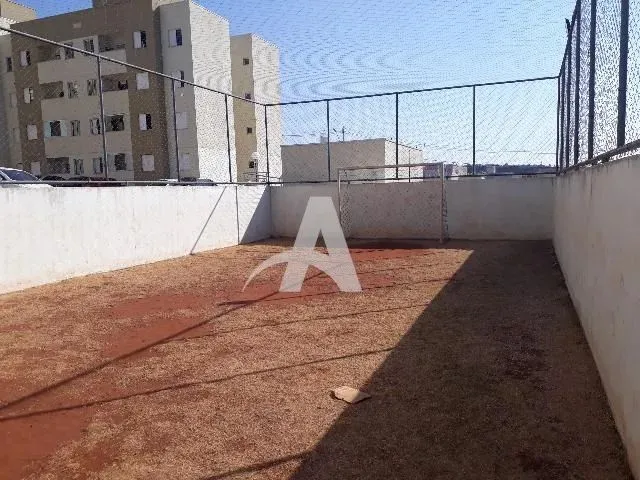 Imagem 16: Aluguel Apartamento Shopping Park