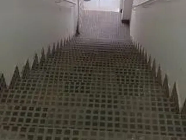 Imagem 12: Alugo Apartamento Taguatinga Norte Qnl 01