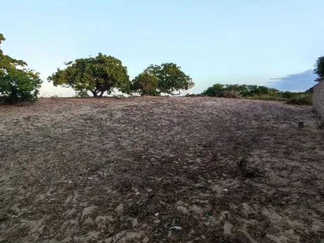 Imagem 6: Vende-Se Chácara em Guamaré-Rn 40X33