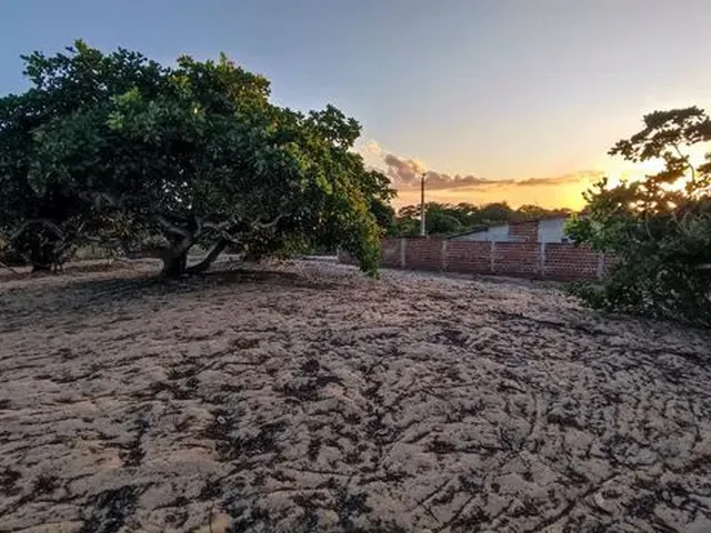 Imagem 10: Vende-Se Chácara em Guamaré-Rn 40X33
