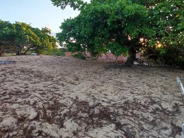 Imagem 5: Vende-Se Chácara em Guamaré-Rn 40X33