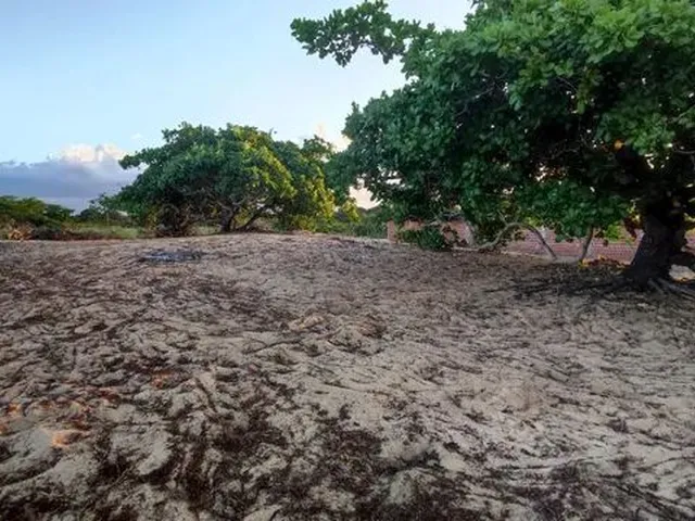 Imagem 8: Vende-Se Chácara em Guamaré-Rn 40X33
