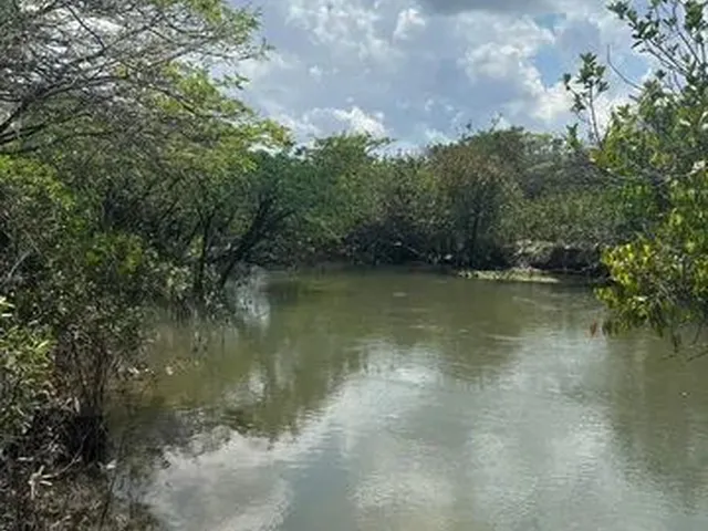 Imagem 1: Lotes de Chácara no Água Boa