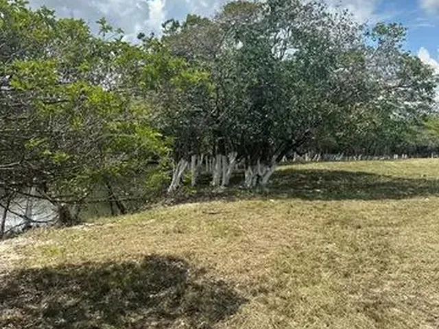 Imagem 4: Lotes de Chácara no Água Boa
