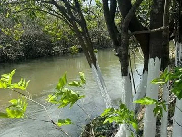 Imagem 3: Lotes de Chácara no Água Boa