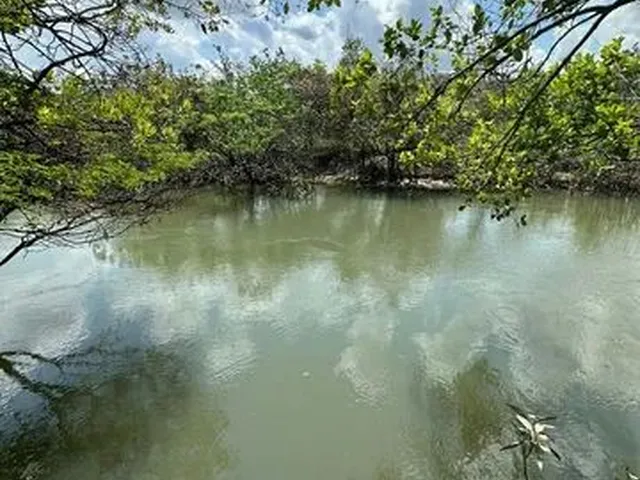 Imagem 6: Lotes de Chácara no Água Boa