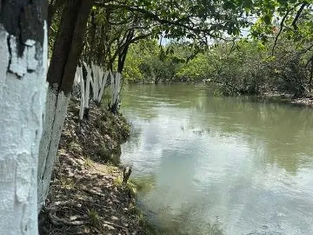Imagem 2: Lotes de Chácara no Água Boa