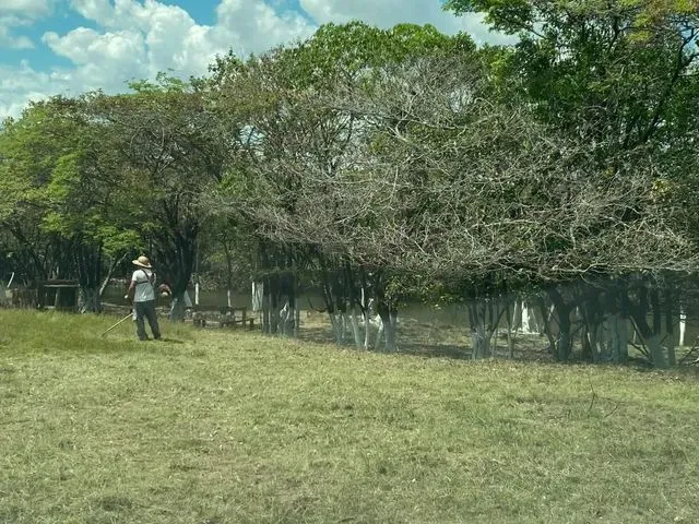 Imagem 5: Lotes de Chácara no Água Boa