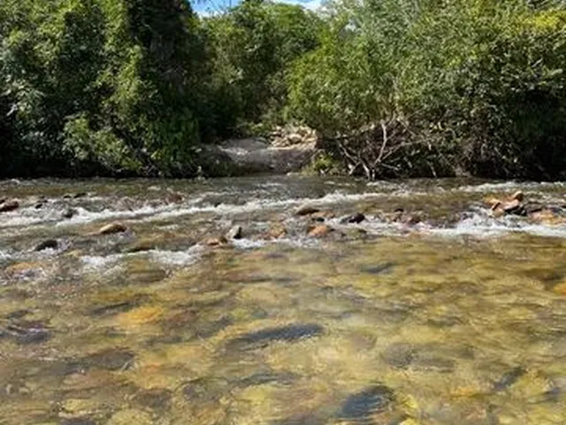 Imagem: Vendo Umas Terras Sete Milhões e Quinhentos