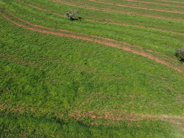 Imagem: A fazenda possui 149m² de Área e está localizado em Area