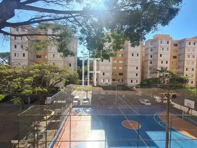 Imagem: Apartamento - Taquaral - Campinas