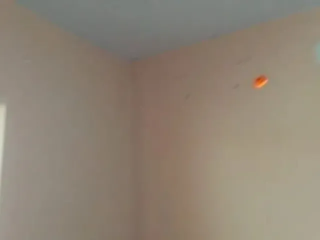 Imagem: Ir Alugo Casa 2 Quartos em Condomínio