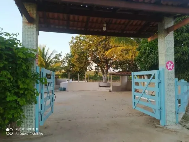 Imagem 6: Chácara em Anagé
