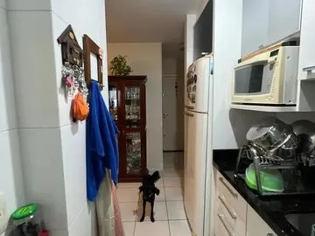 Imagem 4: Apartamento para Venda em Florianópolis, Coloninha, 2 Dormitórios, 1 Suíte, 1