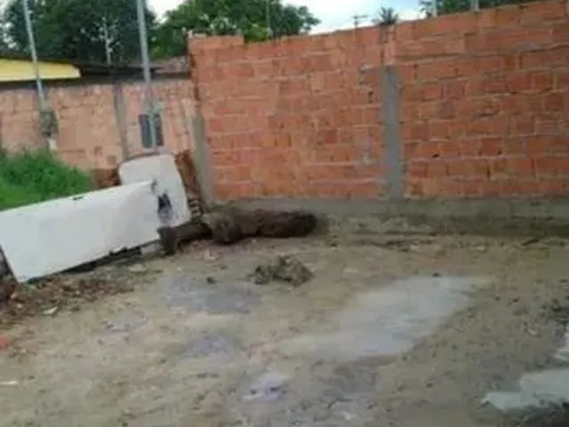 Imagem: Vendo Essa Casa