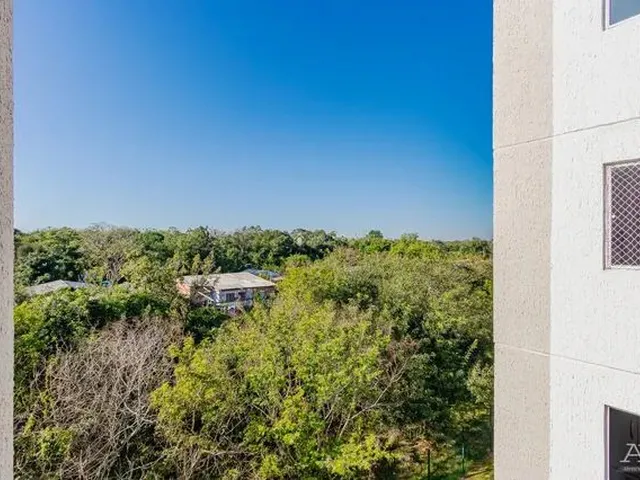 Imagem 9: Canoas - Apartamento Padrão - Mato Grande