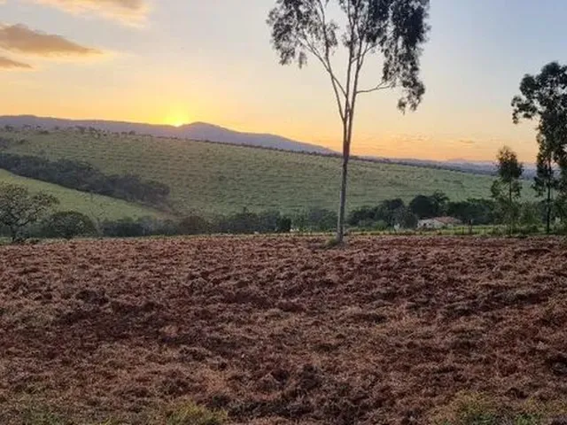 Imagem: Chácaras de 1.000M² a 3.000M² em Igarapé