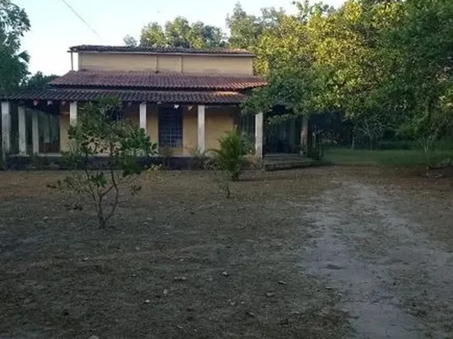 Imagem: Sítio a Venda no Povoado do Alecrim