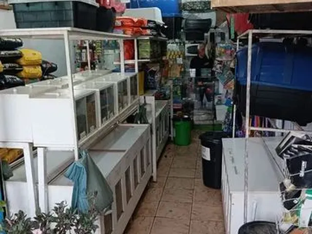 Imagem: Agropecuária