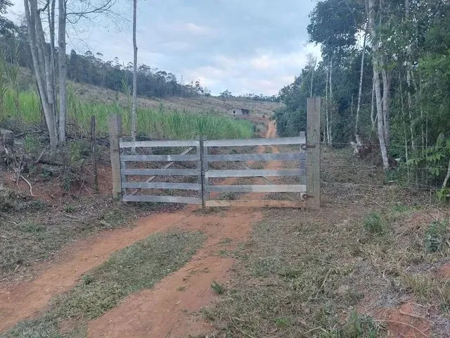 Imagem: Terreno Final de Linha Direto com Proprietário