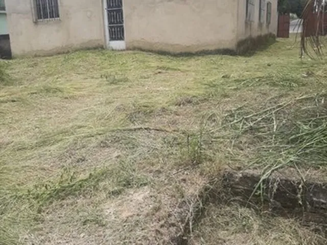 Imagem: Casa Térrea