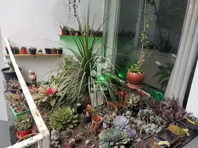 Imagem 13: Sobrado 289M² - 4 Dormitórios Sendo 1 Suíte, 5 Vagas, para Alugar - Parque Jaçatuba