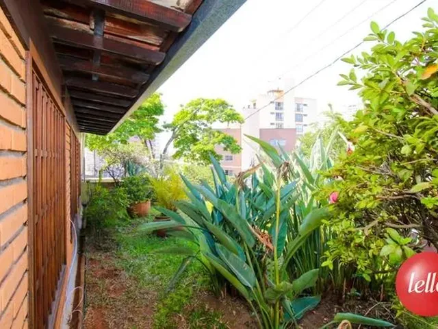 Imagem 12: Santo André - Casa Comercial - Centro