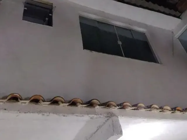 Imagem: Casa em Campo Grande