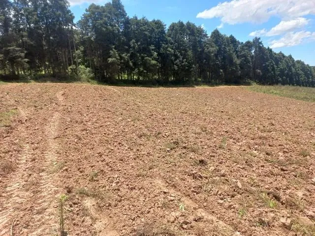 Imagem: Lote/Terreno para Venda com 500 Metros Quadrados