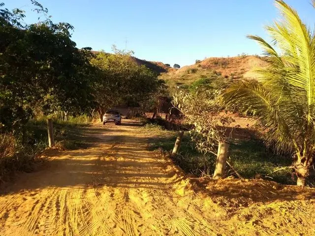 Imagem 4: Chácara 2432M² - Excelente Oportunidade