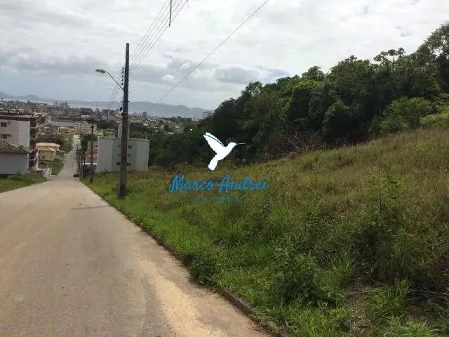 Imagem 3: Lote 360M² Próximo da Av das Torres