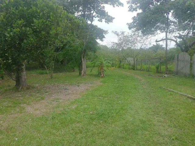 Imagem: Vendo Minha Colônia