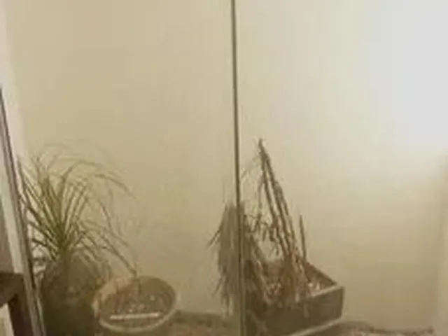 Imagem 11: Casa para Locação em Brasília, Taguatinga, 4 Dormitórios, 1 Suíte, 2 Banheiros, 2