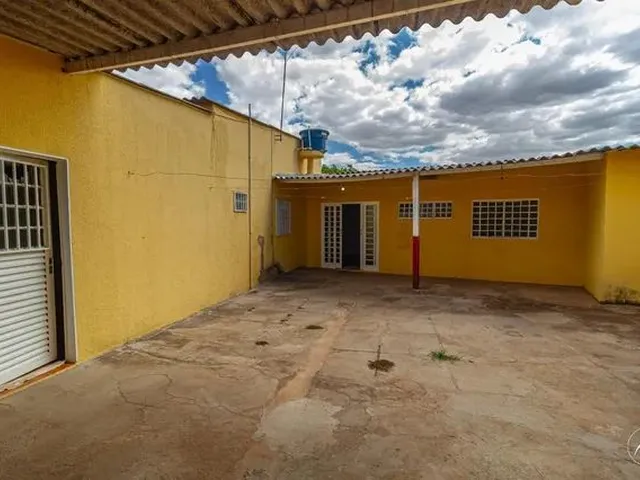Imagem: Samambaia (Norte