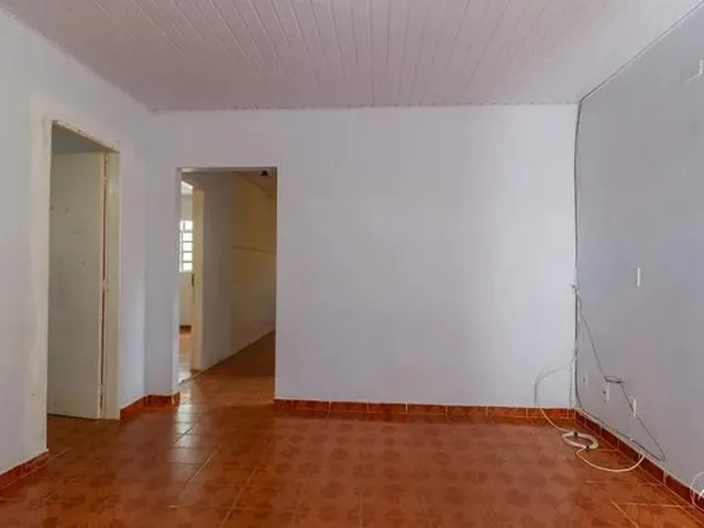 Imagem 7: Samambaia (Norte