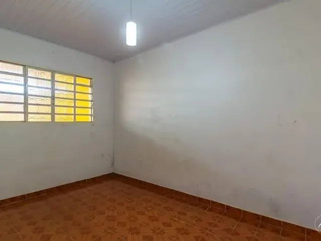 Imagem 13: Samambaia (Norte