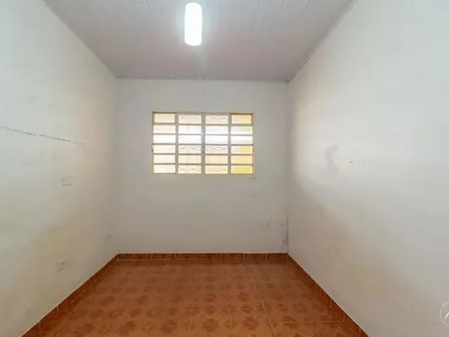 Imagem 3: Samambaia (Norte