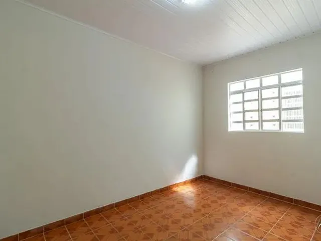 Imagem 8: Samambaia (Norte