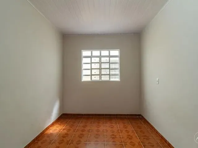 Imagem 4: Samambaia (Norte