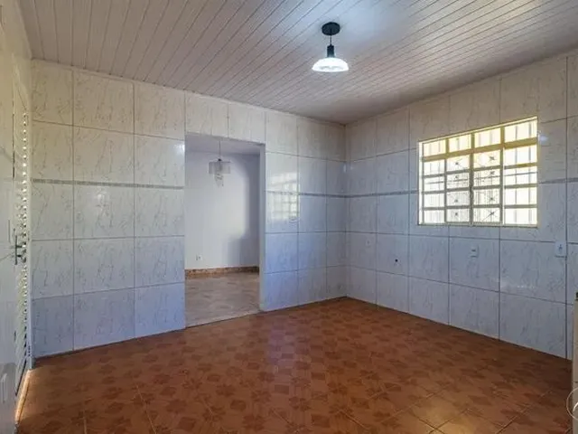 Imagem 11: Samambaia (Norte