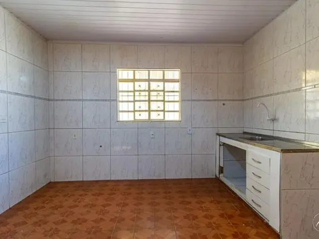 Imagem 16: Samambaia (Norte