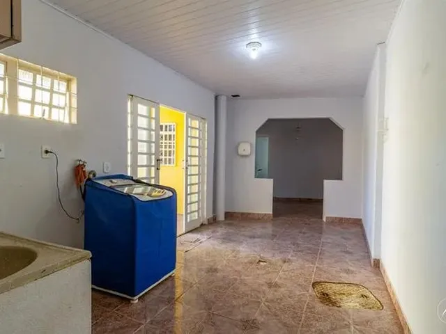 Imagem 14: Samambaia (Norte