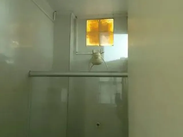Imagem 8: Alugo Apartamento Mobiliado Terreo