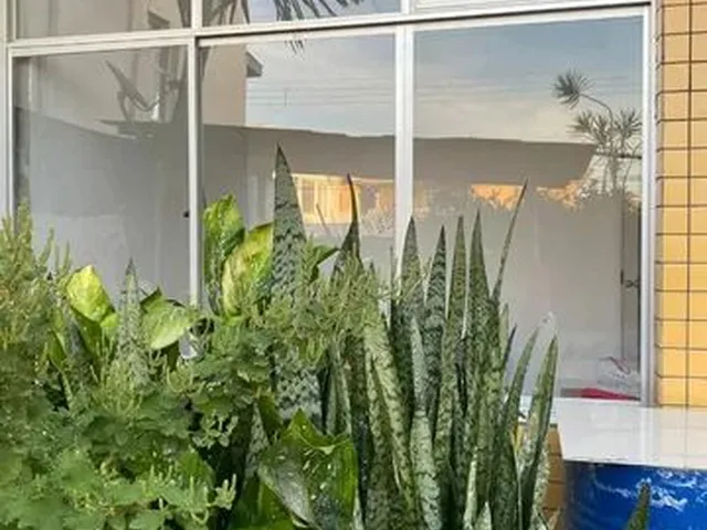 Imagem 1: Sala Comercial Proximo Ao Bistek Av das Torres